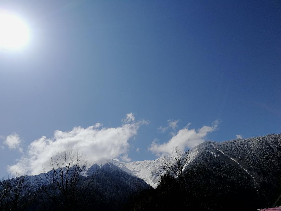 丁卯 戊申 戊午 戊午_戊午日_癸巳年戊午月戊午日戊午时