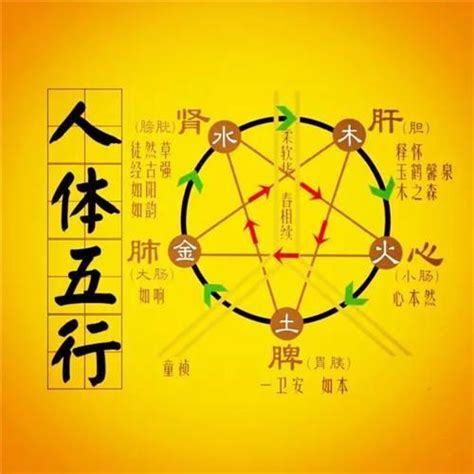 年份的五行属性怎么确定的