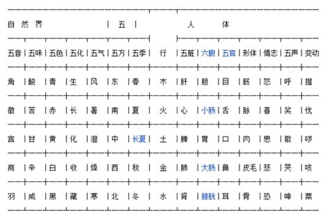 如何判断人的五行属性