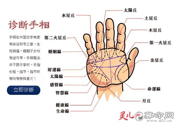 手相男人图解 左手感情线_男人手相财运线图解_男人的左手的手相图解感情线