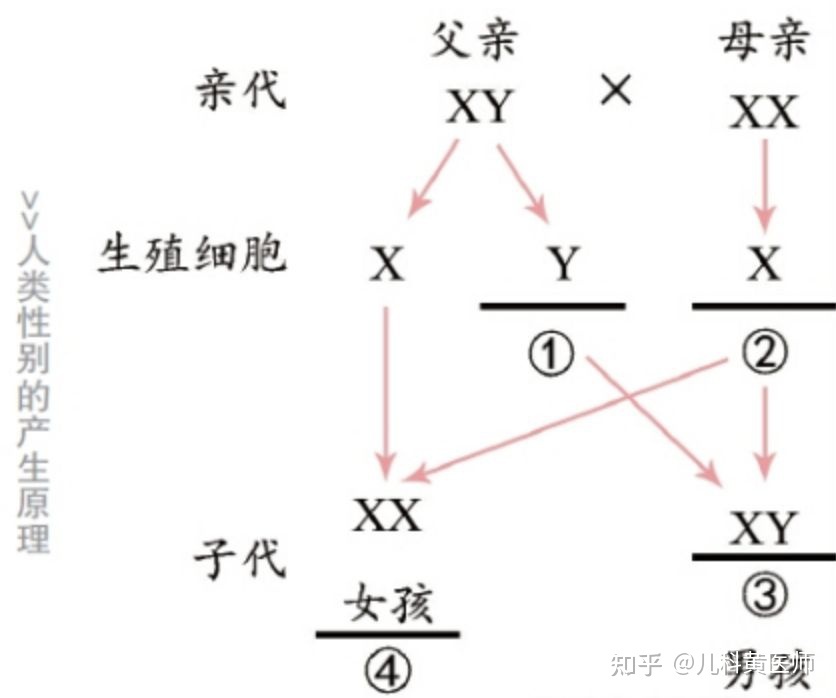 两个手相相似的男女_看男人手相怎么能看出生男女_男女手相婚姻线吻合