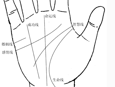 男人右手手相图解大全_男人手相右手感情线延伸至虎口_女生事业线 手相右手