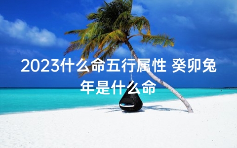 2023什么命五行属性 癸卯兔年是什么命