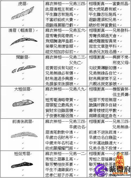 眉毛的面相分析大全竖眉毛(组图)