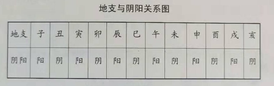 八字中的“地支”揭示了“地气”运动的规律