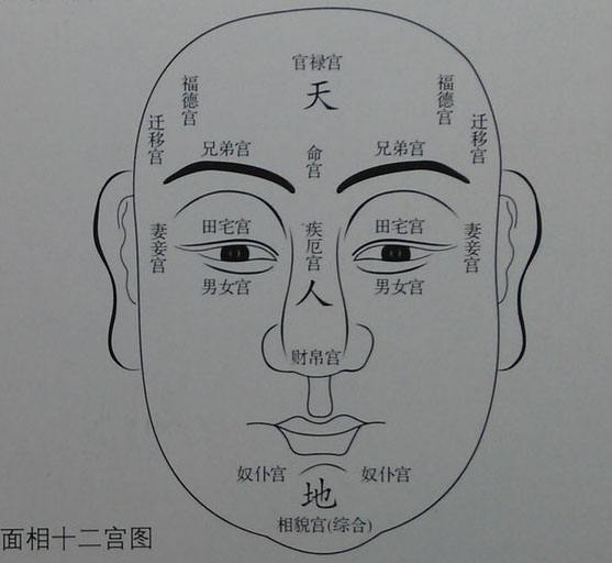 运势八字精批面相分析五行查询八字财运八字合婚婚姻走势