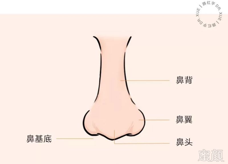 女的左眼内角鼻子上有痣周易怎么讲?