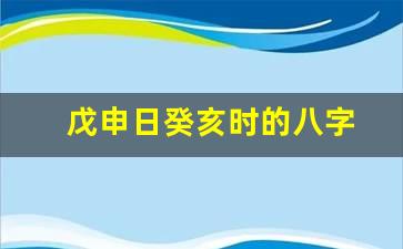 戊申日癸亥时的八字