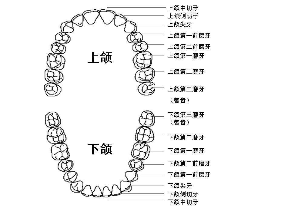 骨性、下巴后缩牙齿矫正，一定要吗？不一定！