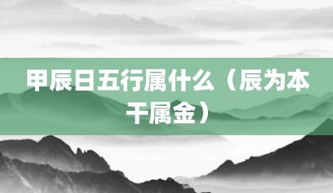 甲辰日五行属什么（辰为本干属金）