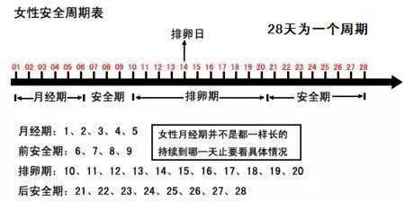 月经后几天是排卵期？你真的了解吗？