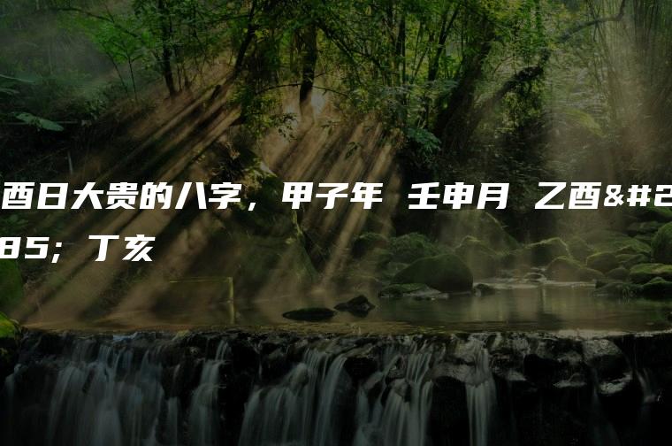 乙酉日大贵的八字，甲子年 壬申月 乙酉日 丁亥