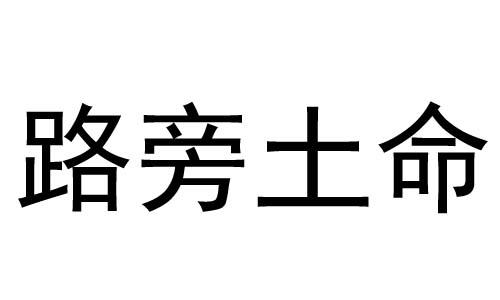 路旁土命适合佩戴什么 路旁土命是最惨的吗