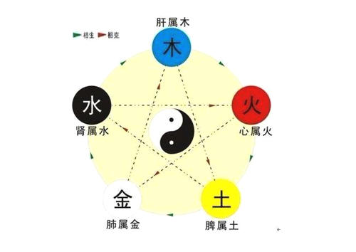 风水堂：五行缺金喜木命盘解析