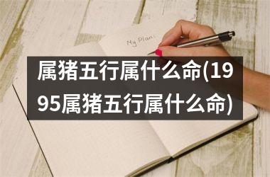 2019年五行属什么命？属猪的人命名！