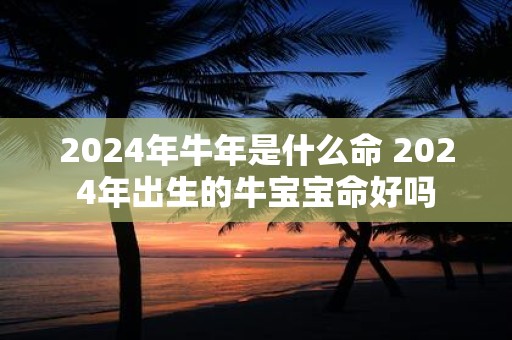 2024年牛年是什么命 2024年出生的牛宝宝命好吗