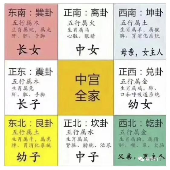 （坤造）风水堂:八字命理实例分析