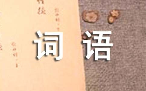 《祝福》词语解释大全