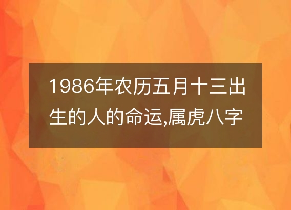 1986年农历五月十三出生的人的命运,属虎八字五行 性格特点