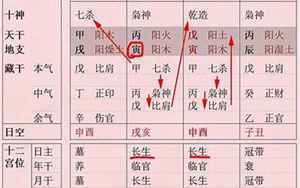 生辰八字月柱表(八字月柱代表什么)