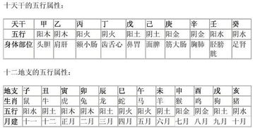 1999年生辰八字对照表 1999年天干地支对照表