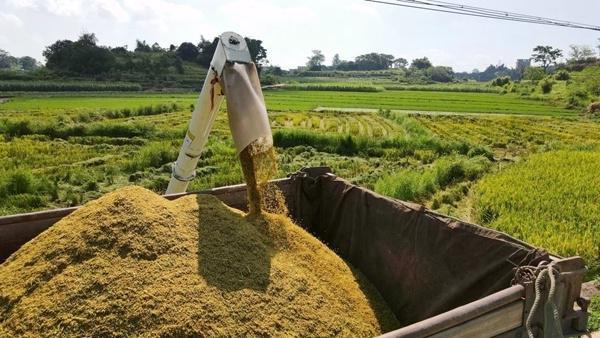 民国三十二年最严重的饥荒年，你知道多少？