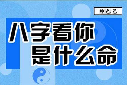 戊子日出生人还有哪些命理特征？生辰八字终身详解