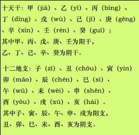 1981 年 3 月 16 日出生的人命运如何？八字排盘详解及五行分析