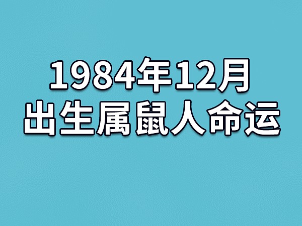 1984 年出生的生肖鼠人命运如何？解析木鼠之命的运势走向