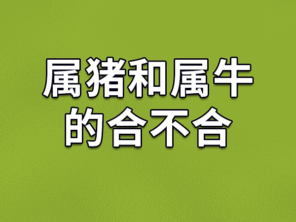 1997 年属牛正月十一出生人的性格和命运解析